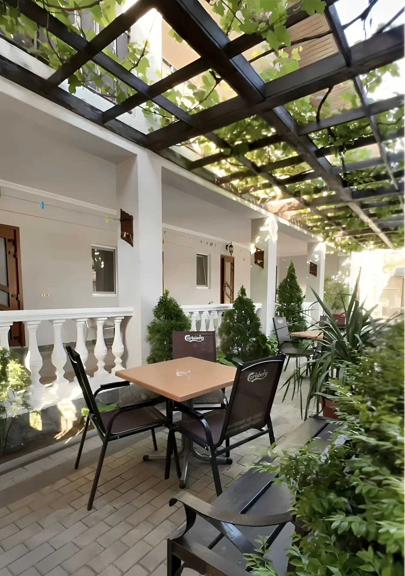 Фотографии тура: Гостевой дом “Вероника”, Кабардинка