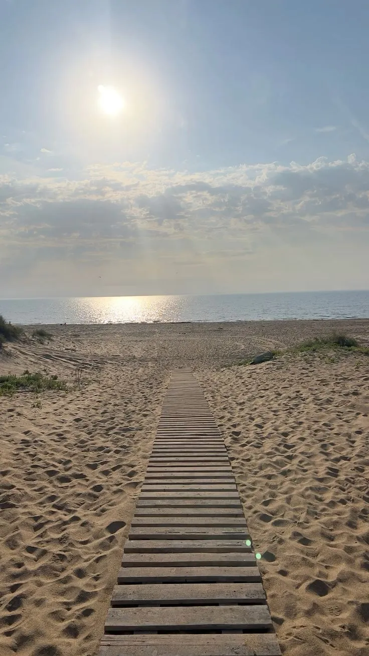 Прибытие на Черноморское побережье