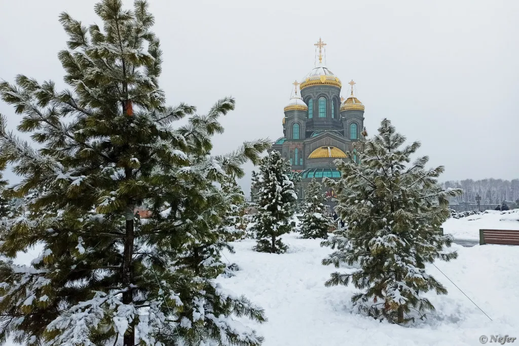 Фото 2: Рождественские каникулы в Москве - 